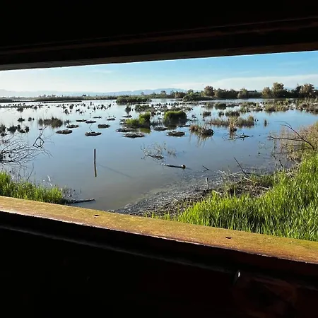 Repos Al Delta L'Eucaliptus